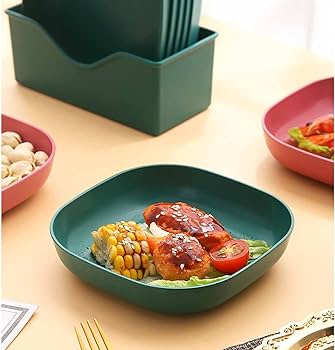 10Pcs  Unbreakable Modern Simple Dinner Plates with Stand